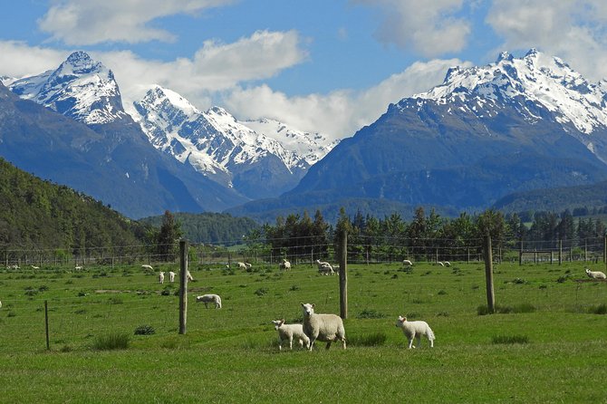 High Country Discovery Tour from Queenstown - Why this 4WD trip reaches places regular tours miss