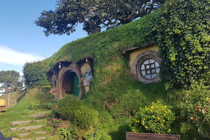 Hobbiton Afternoon Tour in Luxury Minibus from Auckland - Why the afternoon timing works well
