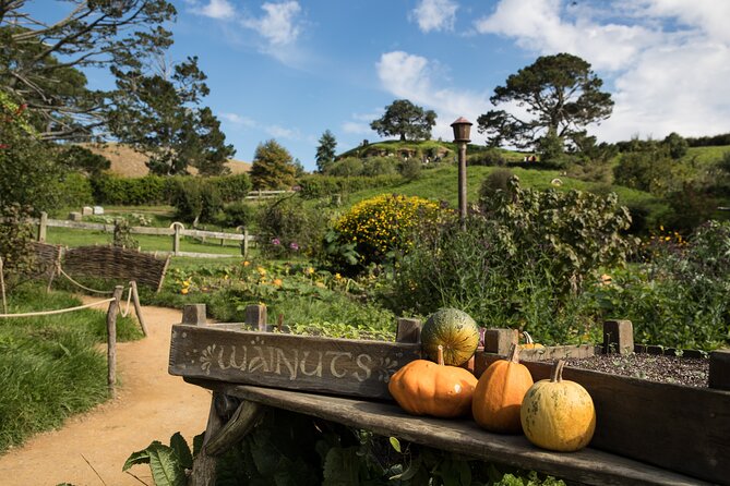 Hobbiton Day Tour from Rotorua with lunch at Hobbiton - Is $189.90 a fair price?
