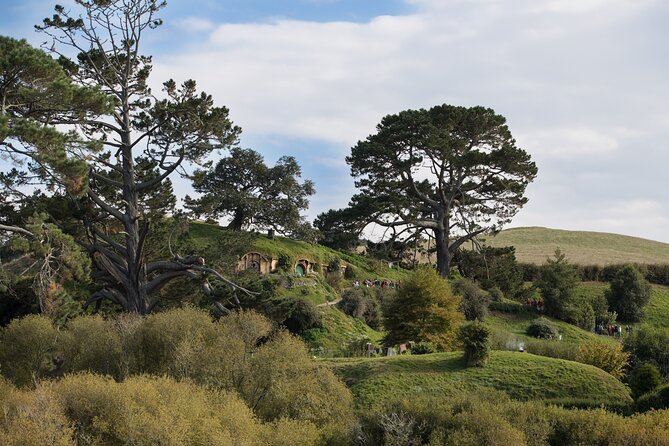 Hobbiton Day Tour from Rotorua with lunch at Hobbiton - Who will enjoy this day most?