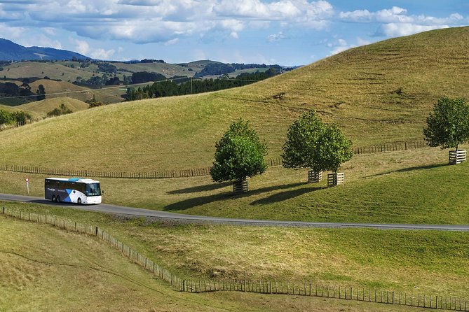 Hobbiton Day Tour from Rotorua with lunch at Hobbiton - Walking among the hobbit holes