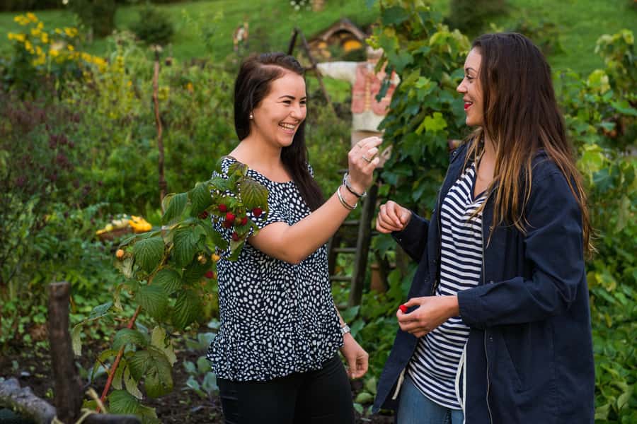 Hobbiton Movie Set & Rotorua Premium Day Tour from Auckland - Who should book this experience?