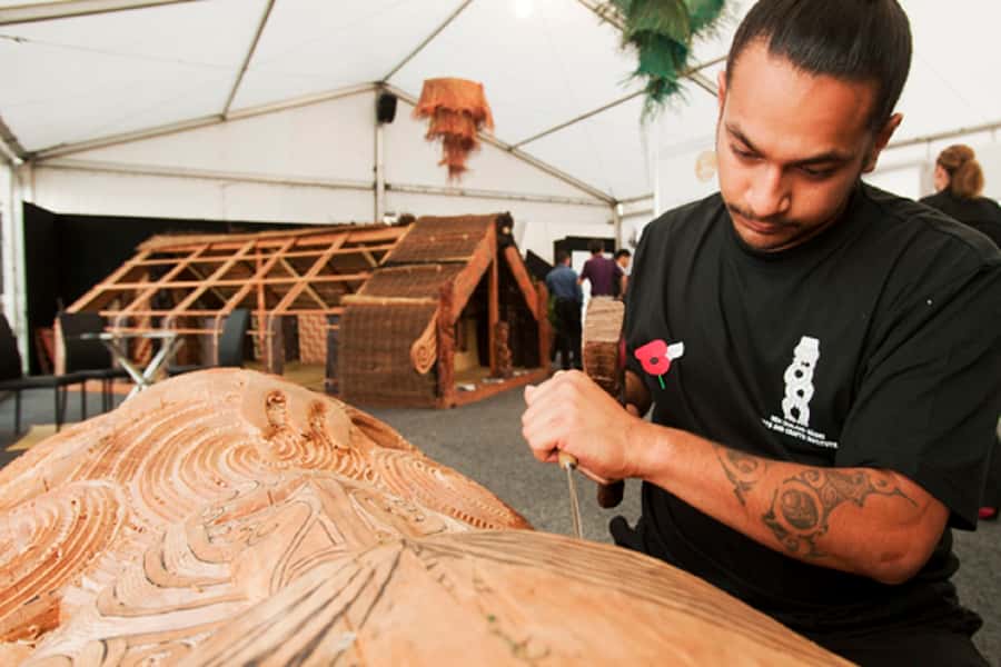 Hobbiton Movie Set & Rotorua Premium Day Tour from Auckland - Seeing kiwi birds at Nga Manu Ahurei