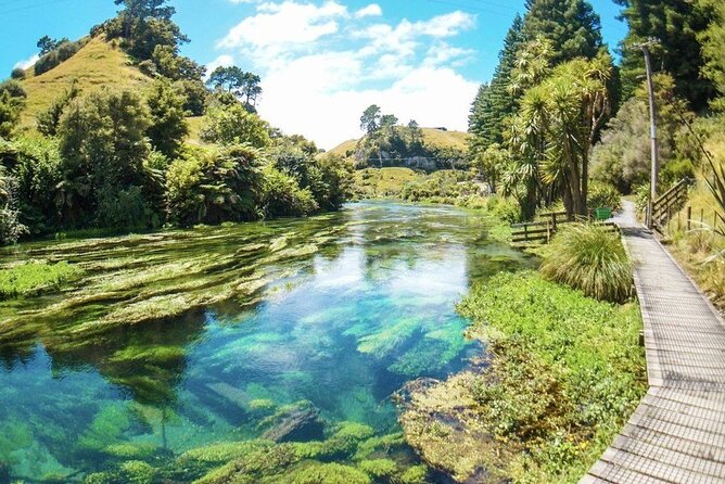 Hobbiton Movie Set Tour to Blue Springs and Mineral Spa - Small details that can make the day easier