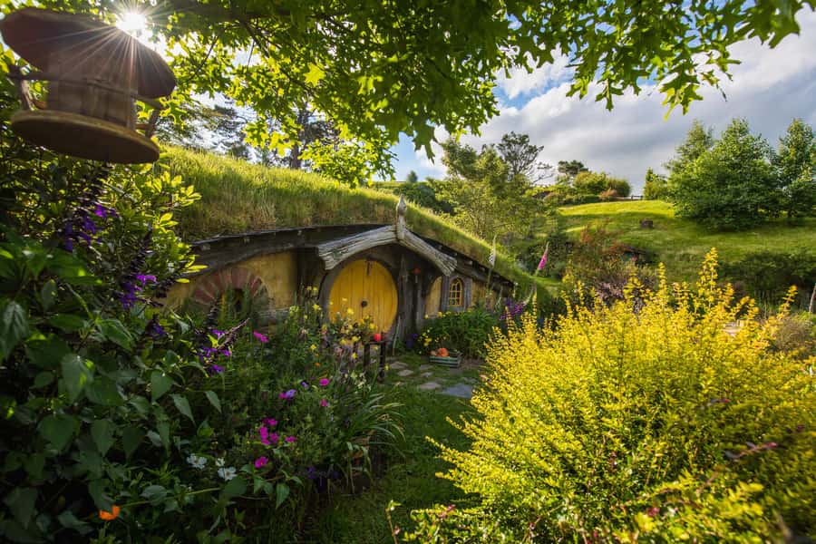 Hobbiton Movie Set Tour to Blue Springs and Waitomo caves - A full day from Auckland to the Waikato