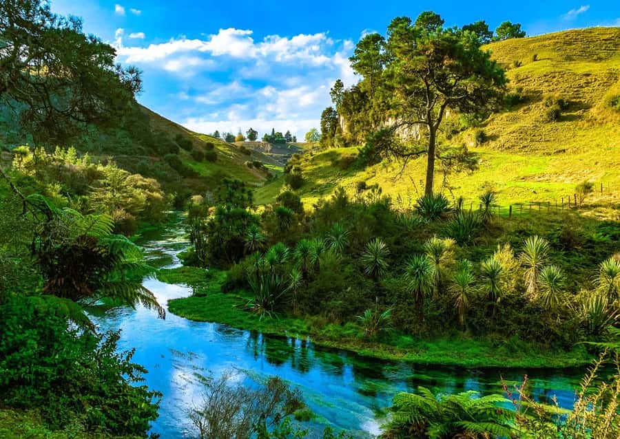 Hobbiton Movie Set Tour to Blue Springs and Waitomo caves - Blue Springs: the calmest hour of the trip