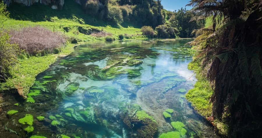 Hobbiton Movie Set Tour to Blue Springs and Waitomo caves - The small-group difference