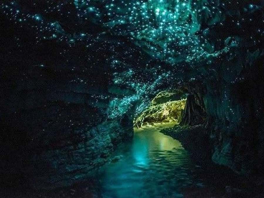 Hobbiton Movie Set Tour to Blue Springs and Waitomo caves - Who should book this day trip?