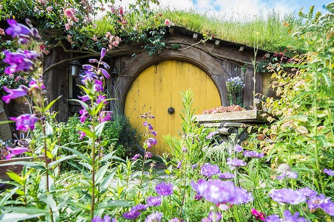 Hobbiton & Rotorua Small Group Tour including Te Puia from Auckland - Is the NZD 266.23 price good value?