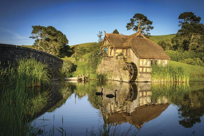 Hobbiton & Waitomo Caves Guided Day Trip from Auckland incl lunch - Two New Zealand icons, one very full day