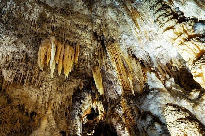 Hobbiton & Waitomo Caves Small Group Tour from Auckland inc Lunch - The return to Auckland