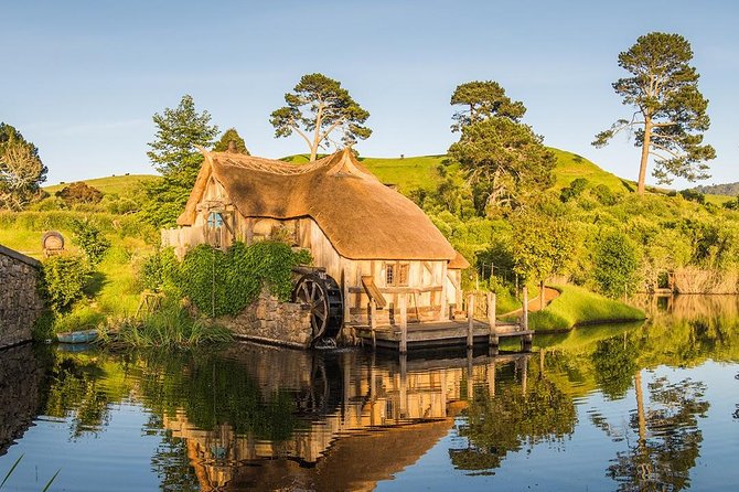 Hobbiton & Waitomo Caves Small-Group Tour W Lunch from Auckland - What to bring and how to prepare