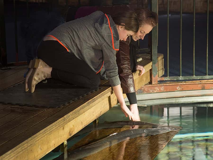 Hokitika: The National Kiwi Centre Tickets - Tuatara, crayfish, and whitebait add range