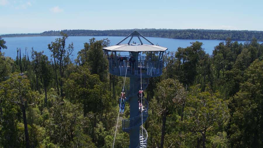 Hokitika: West Coast Tree Top Tower Zip Line and Walk - Walking above Hokitika’s ancient rainforest