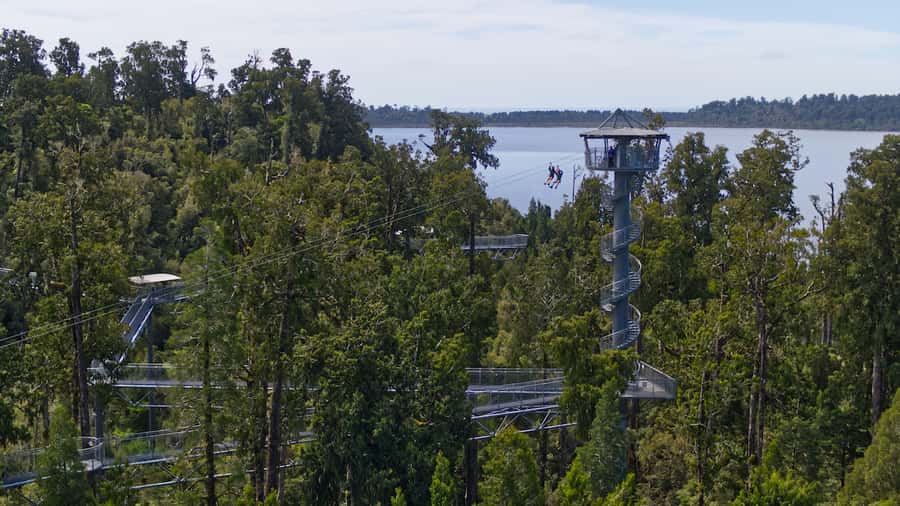 Hokitika: West Coast Tree Top Tower Zip Line and Walk - The 106 steps to the spiral tower
