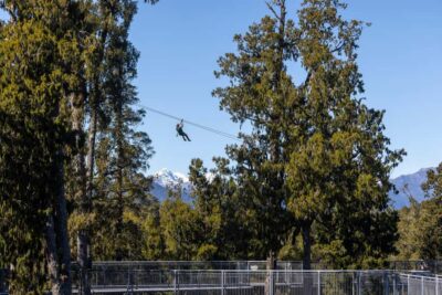 Hokitika: West Coast Treetop Walkway Entrance Ticket