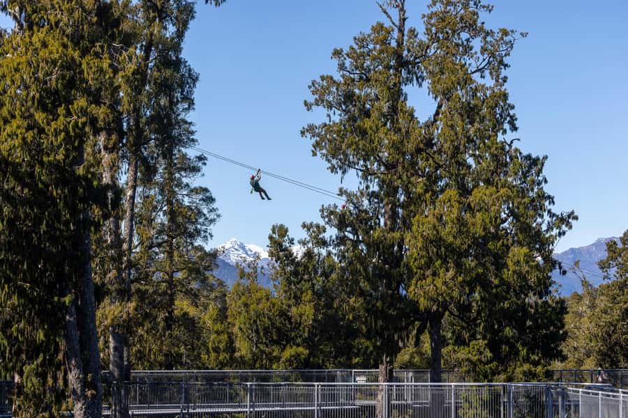Hokitika: West Coast Treetop Walkway Entrance Ticket - From Treetops Cafe to the 20-metre platform