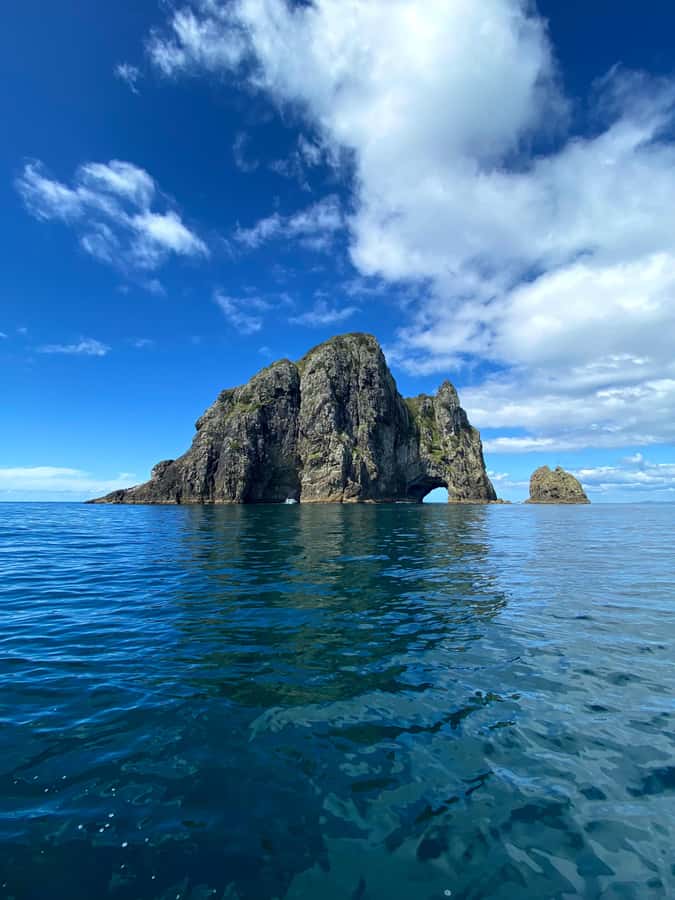 Hole in the Rock Tour & Bay of Islands Cruise - Cruising among 144 islands