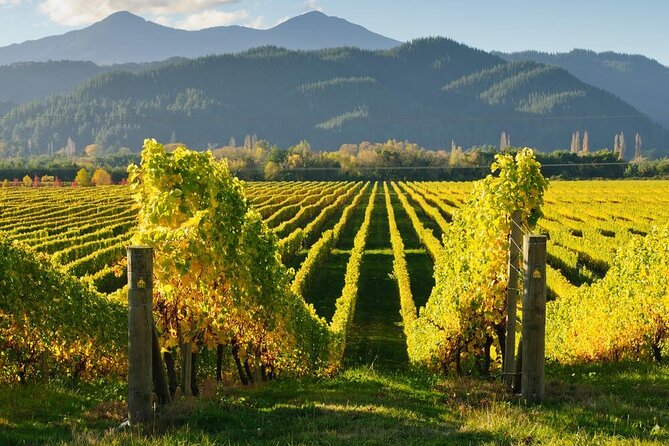 Hop on Hop off Wine Tours Marlborough - Astrolabe and the first taste of Blenheim