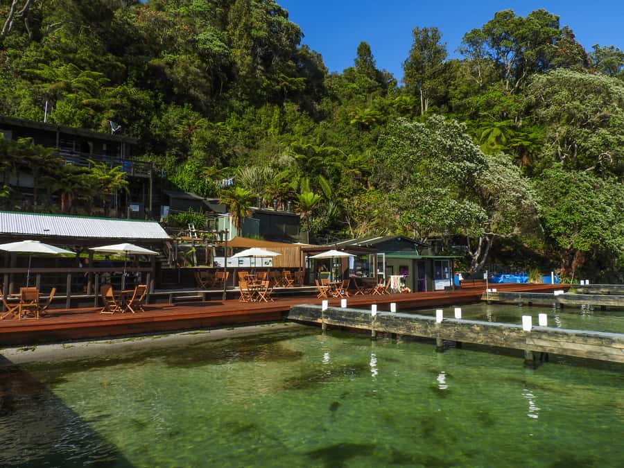 Hot Pools Kayak & Evening Barbecue - Manupirua Springs, reached only from the water