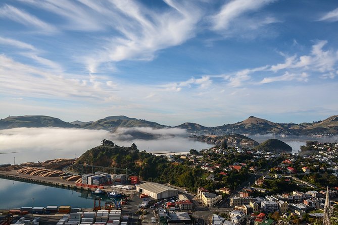 Iconic Shore Excursion: Dunedin City Highlights Tour - Why this four-hour tour works well from Port Chalmers