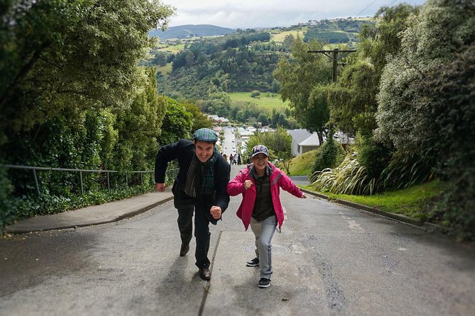 Iconic Shore Excursion: Dunedin City Highlights Tour - Signal Hill opens with the best city view