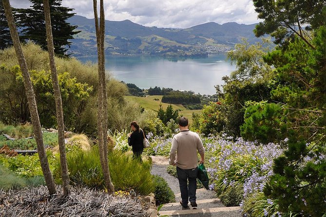 Iconic Shore Excursion: Iconic Larnach Castle Tour - Meeting your guide at Port Chalmers