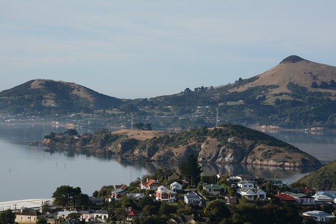 Iconic Wildlife Tour with Yellow Eyed Penguins & Royal Albatross - Four hours on the Otago Peninsula