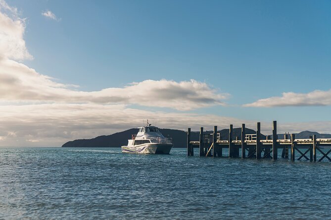 InterIslander Ferry - Picton to Wellington - Who will enjoy this crossing most?