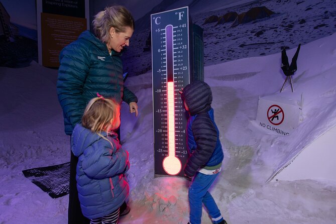 International Antarctic Centre General Admission Ticket - Little blue penguins bring Antarctica to life