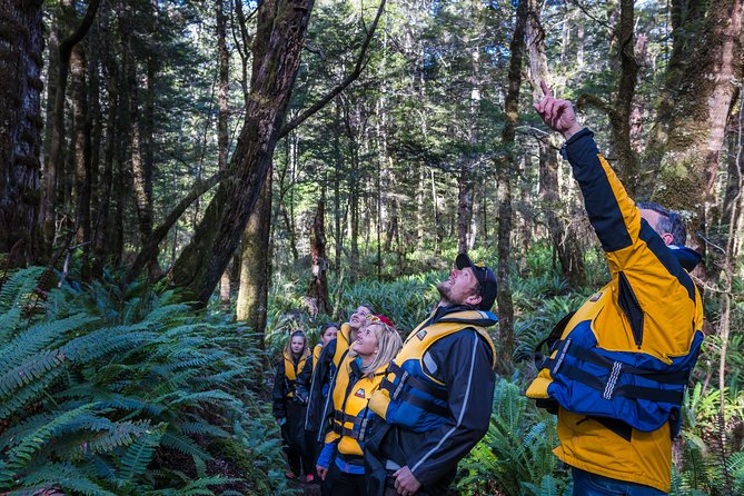 Jet Boat Journey through Fiordland National Park - Pure Wilderness - Who Should Book This Fiordland Jet Boat Trip?