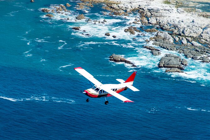 Kaikoura: Coastal and Alpine Scenic Airplane Flight - Why Kaikoura looks better from the air