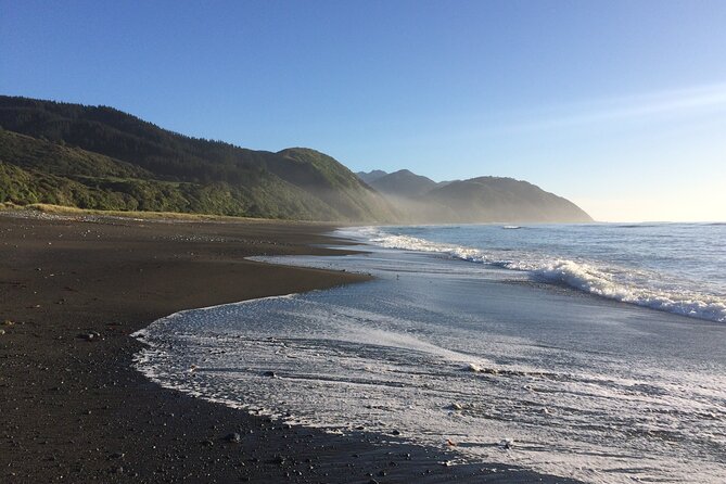 Kaikōura Day Tour From Christchurch (Small Group, Carbon Neutral) - Four hours in Kaikōura, the heart of the outing