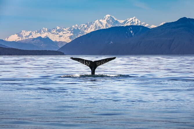 Kaikōura Day Tour From Christchurch (Small Group, Carbon Neutral) - Food, drinks, and the value of the package