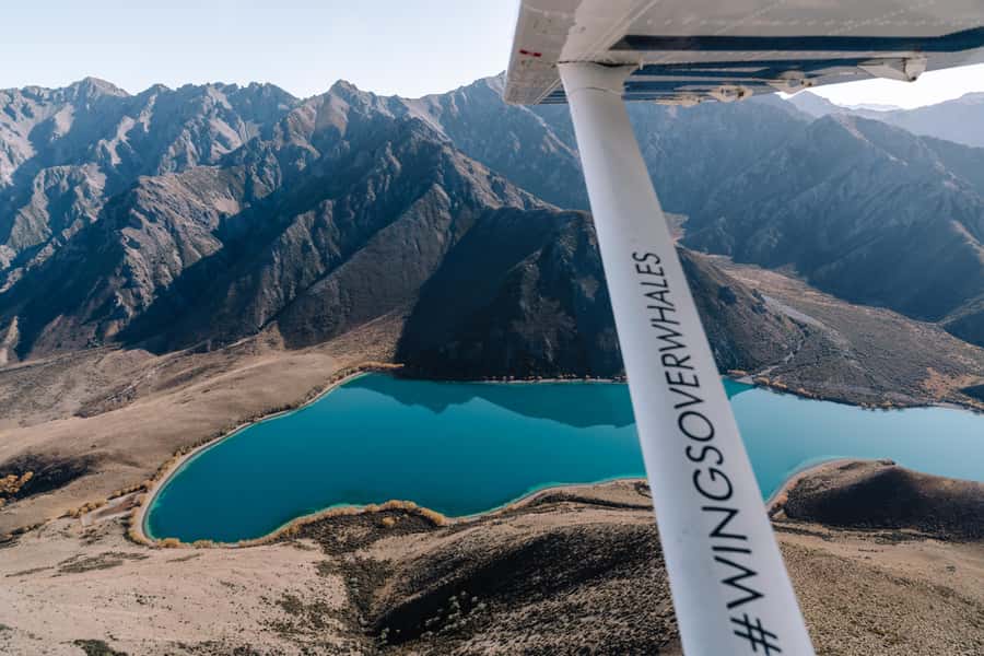 Kaikoura: Extended Flight Whale Watching & Mountain Tour - Why see Kaikoura from the air?