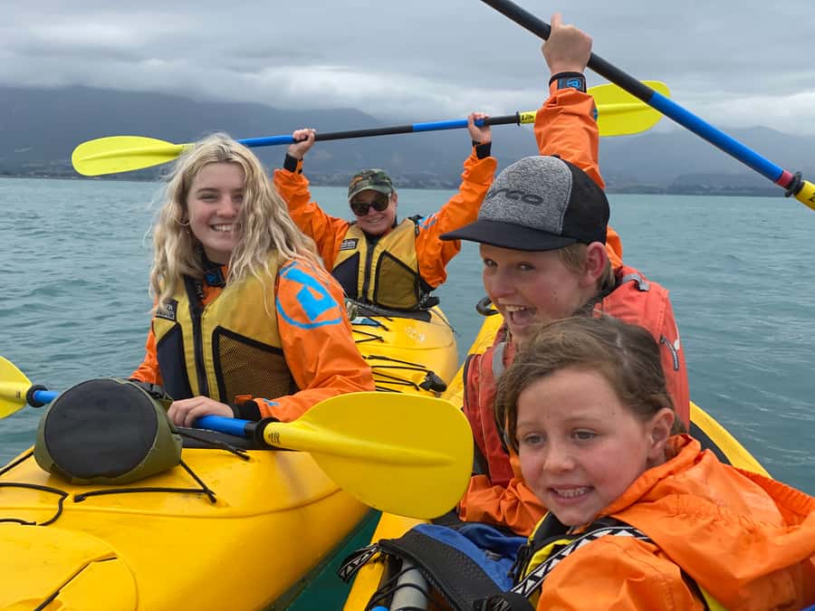Kaikoura: Guided Family Kayaking Adventure - Watching fur seals and other marine life
