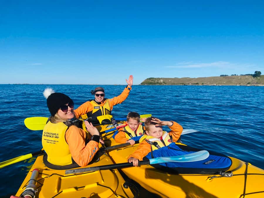 Kaikoura: Guided Family Kayaking Adventure - What the $95 price includes
