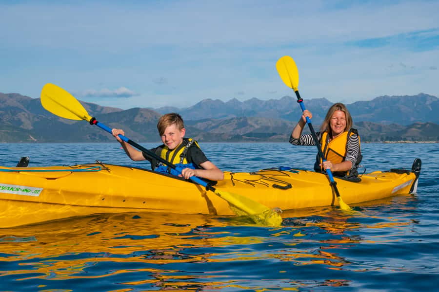 Kaikoura: Guided Family Kayaking Adventure - Choosing clothes and timing for a smoother outing
