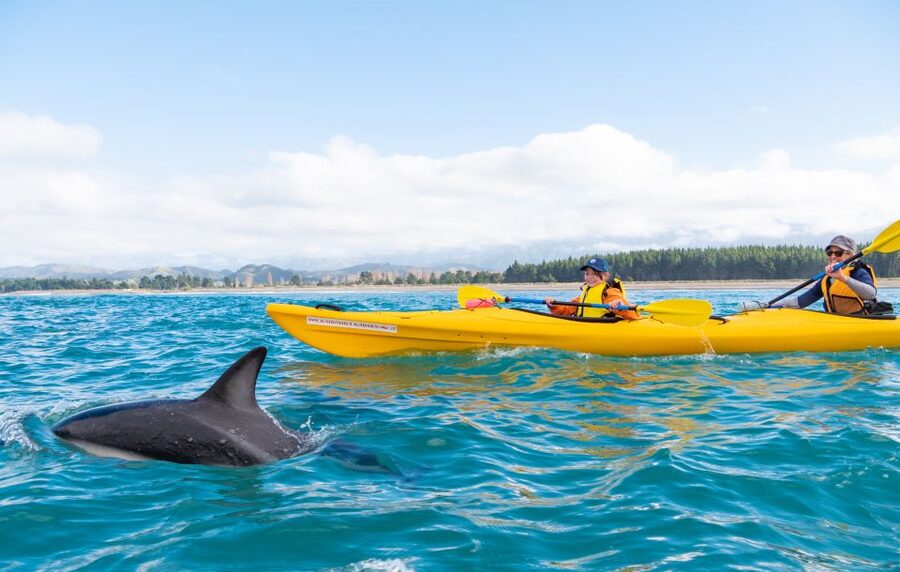Kaikoura: Guided Family Kayaking Adventure - Who will enjoy this Kaikoura outing most?