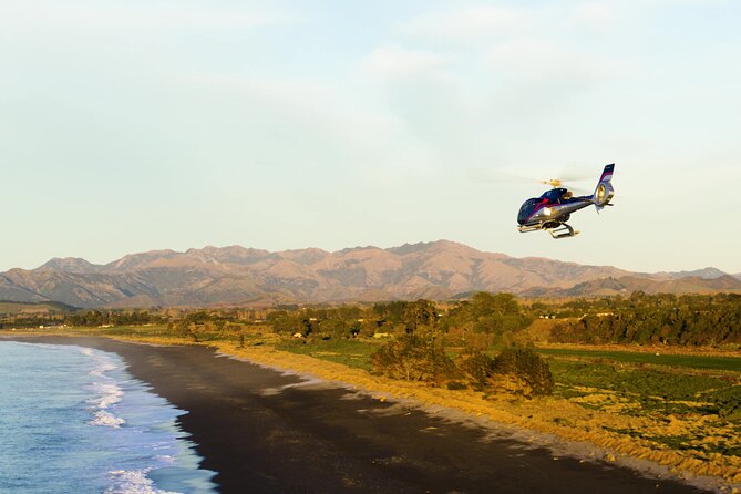 Kaikoura Helicopters Extended Whale Watch - What the aerial viewpoint adds to the experience