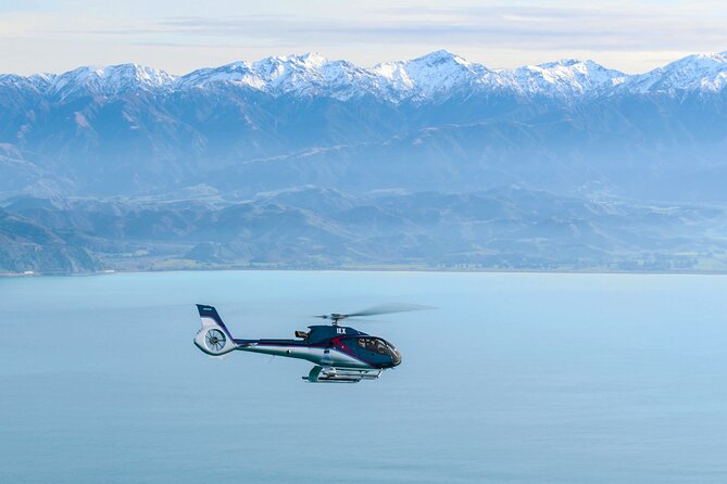 Kaikoura Helicopters Extended Whale Watch - Booking, cancellations, and weather flexibility