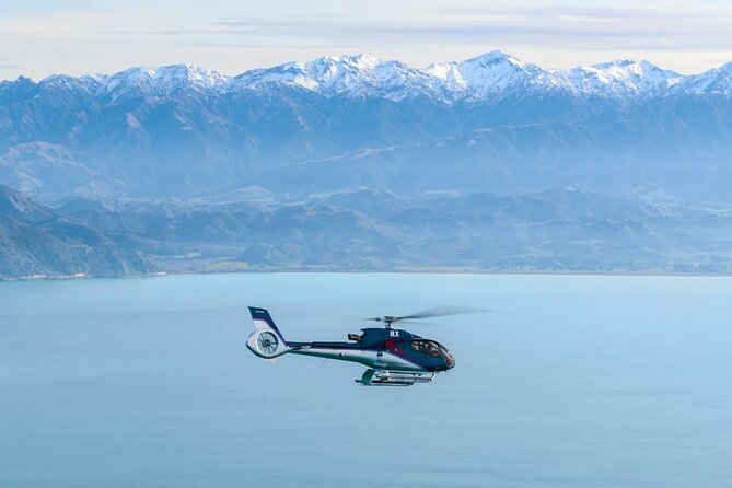 Kaikoura Helicopters Top n Tail Whale Watch flight - Key things to know before you book