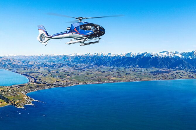 Kaikoura Helicopters Top n Tail Whale Watch flight - Who will enjoy Top ’n Tail most?