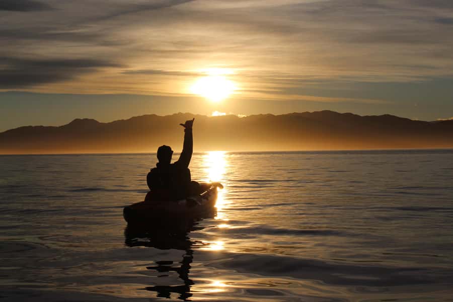 Kaikōura: Kayak Sunset Tour with Seal Sightings - Seal watching without a noisy engine