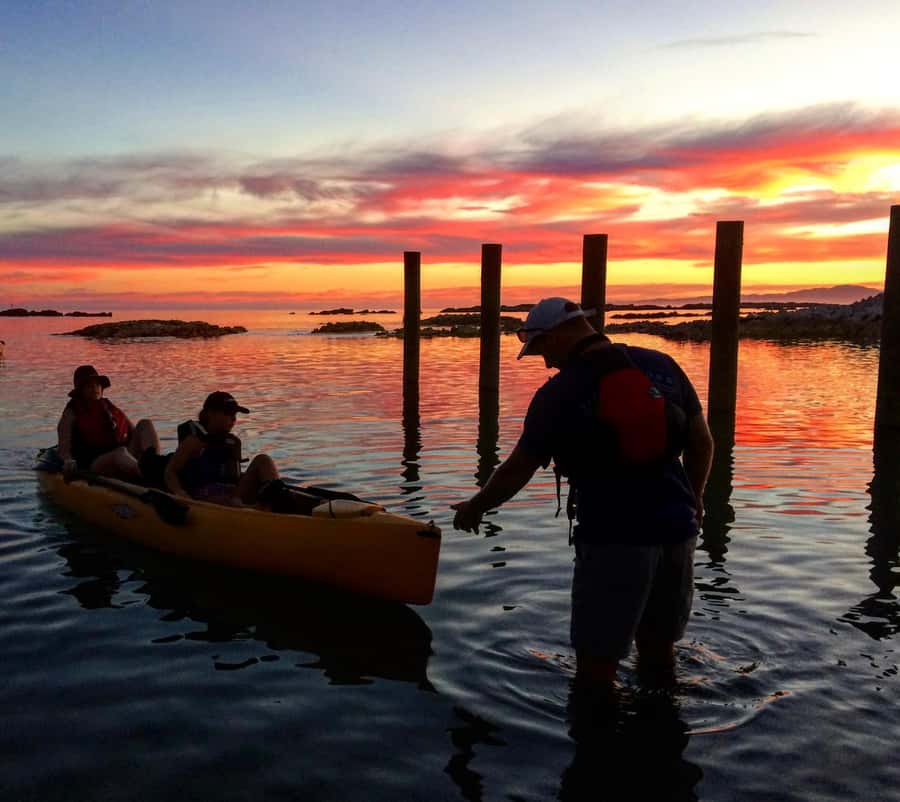 Kaikōura: Kayak Sunset Tour with Seal Sightings - What the $83 price covers