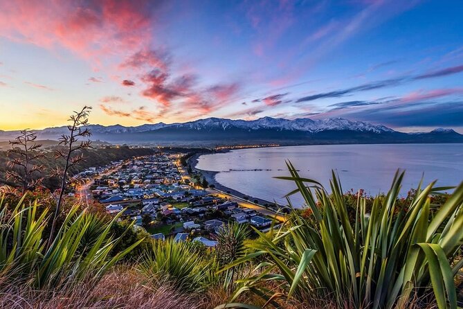 Kaikoura Private Whale Watching Day Trip from Christchurch - A realistic nine-hour schedule
