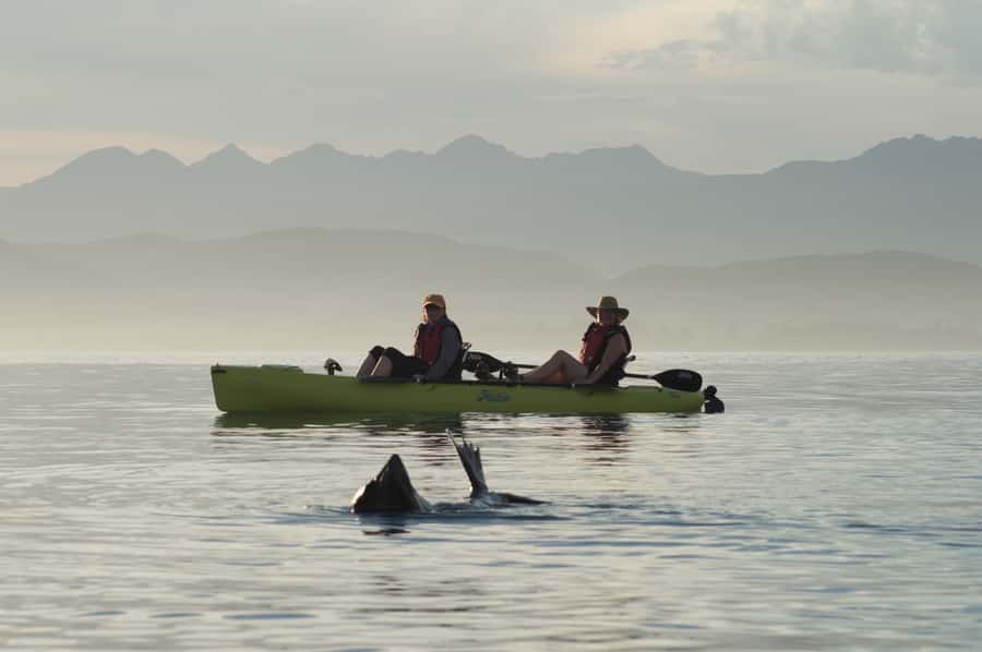 Kaikoura: Seal-Watching Pedal Kayak Tour - The five-minute ride to the launch area