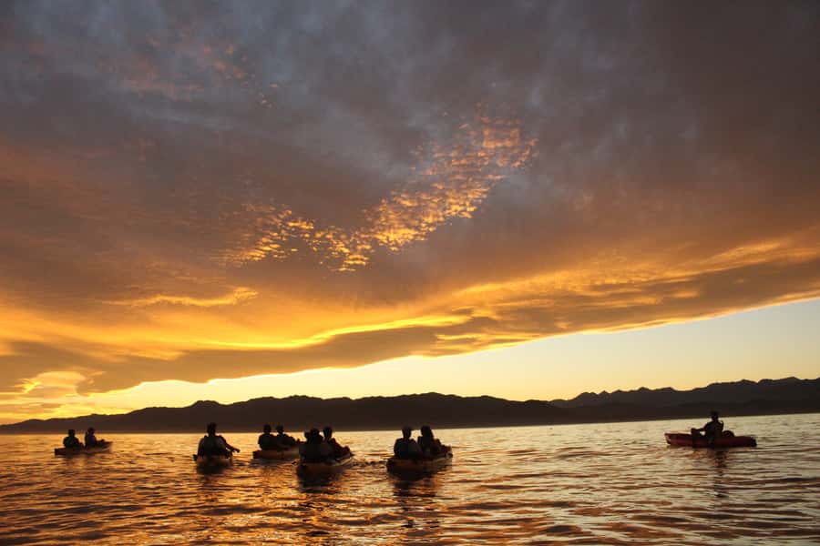 Kaikoura: Seal-Watching Pedal Kayak Tour - How the $83 price compares