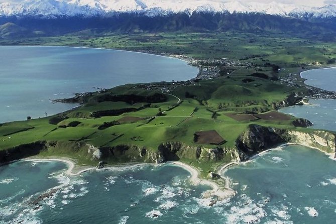 Kaikoura Swim with Dolphins Tour from Christchurch - Why swimming with Kaikoura’s dolphins feels different