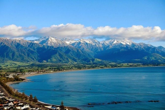 Kaikoura Swim with Dolphins Tour from Christchurch - The 7:00 am departure from Christchurch